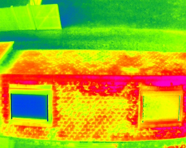 Thermal image of a warm elevation with cold and warm window units
